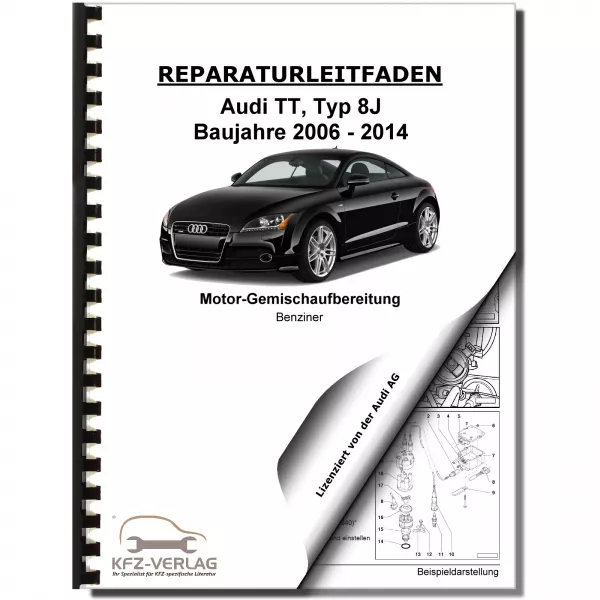 Audi TT 8J 2006-2014 Benzin Einspritz- Zündanlage 160-211 PS Reparaturanleitung