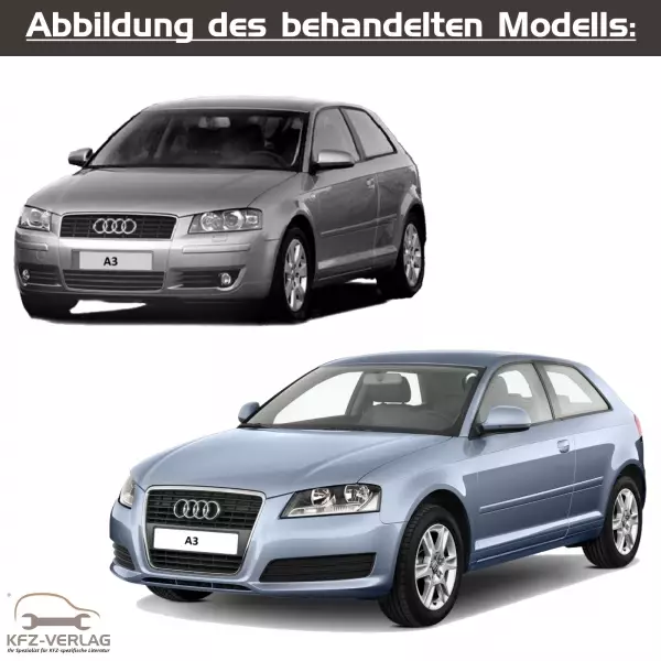 Audi A3 8P, 8P1, 8PA (03-12) Elektrik Reparaturanleitung PDF