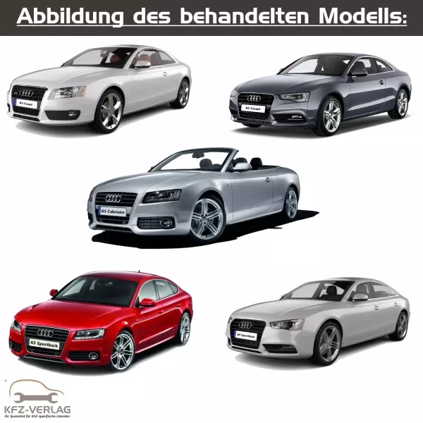 Audi A5 - Typ 8T, 8T3, 8TA - Baujahre 2007 bis 2016 - Fahrzeugabschnitt: Kraftstoffversorgung/Kraftstoffsystem/Kraftstoffaufbereitung für Dieselmotoren - Reparaturanleitungen zur Reparatur in Eigenregie für Anfänger, Hobbyschrauber und Profis.