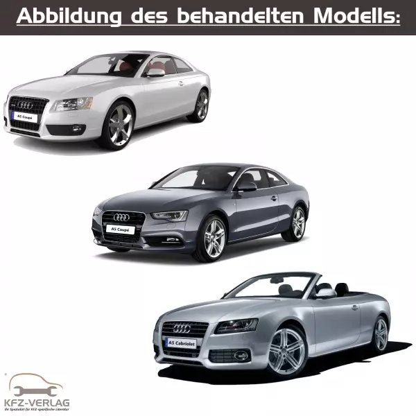Audi A5 - Typ 8T, 8T3, 8TA - Baujahre 2007 bis 2016 - Fahrzeugabschnitt: Bremssysteme, Handbremse, Trommelbremse, Scheibenbremse, Bremsbeläge, Bremsklötze, ABS - Reparaturanleitungen zur Reparatur in Eigenregie für Anfänger, Hobbyschrauber und Profis.