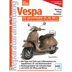 Vespa GTS GTV 125 250 300 (05>) wassergekühlter Motor 4-Takt Reparaturanleitung