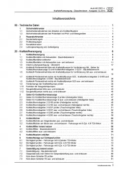 Audi A8 4E 2002-2010 Kraftstoffversorgung Dieselmotoren Reparaturanleitung PDF