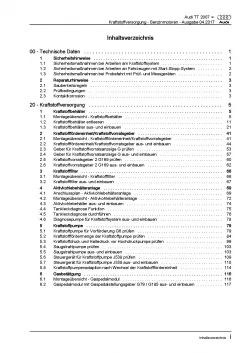 Audi TT 8J 2006-2014 Kraftstoffversorgung Benzinmotoren Reparaturanleitung PDF