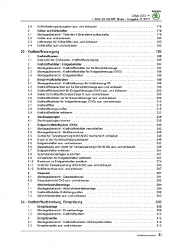 SKODA Citigo NF (11-20) 3-Zyl. 1,0l Benzinmotor 60-75 PS Reparaturanleitung PDF