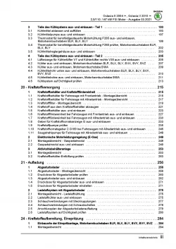 SKODA Octavia 1Z 2004-2013 4-Zyl. Benzinmotor 150-200 PS Reparaturanleitung PDF