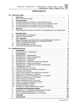 SKODA Octavia (12-20) Kraftstoffversorgung Erdgasmotoren Reparaturanleitung PDF