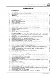 VW Beetle 5C (11-16) Instandhaltung Inspektion Wartung Reparaturanleitung PDF