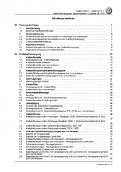 VW Caddy 2K 2003-2010 Kraftstoffversorgung Benzinmotoren Reparaturanleitung PDF