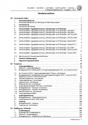 VW Passat 7 3C (10-14) 6 Gang Schaltgetriebe 0AJ Kupplung Reparaturanleitung PDF