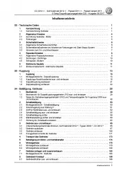 VW Passat 7 3C 2010-2014 6 Gang Automatikgetriebe DKG 02E Reparaturanleitung PDF