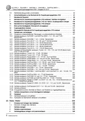 VW Passat CC 35 (08-12) 7 Gang Automatikgetriebe 0AM DKG Reparaturanleitung PDF