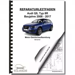 Audi Q5 8R 2008-2017 Benzin Einspritz- Zündanlage 179-211 PS Reparaturanleitung