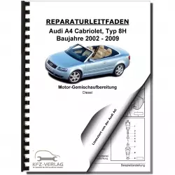 Audi A4 Cabriolet (02-09) Diesel Einspritz Vorglühanlage 2,0l Reparaturanleitung