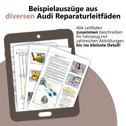 Beispielauszüge aus diversen Reparaturanleitungen von Audi