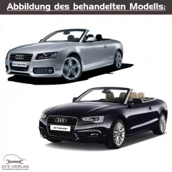 Audi A5 Cabrio - Typ 8F - Baujahre 2009 bis 2016 - Fahrzeugabschnitt: Kardanwelle und Achsantrieb hinten, Front- und Allradantrieb (2WD, FWD, 4WD, AWD) - Reparaturanleitungen zur Reparatur in Eigenregie für Anfänger, Hobbyschrauber und Profis.